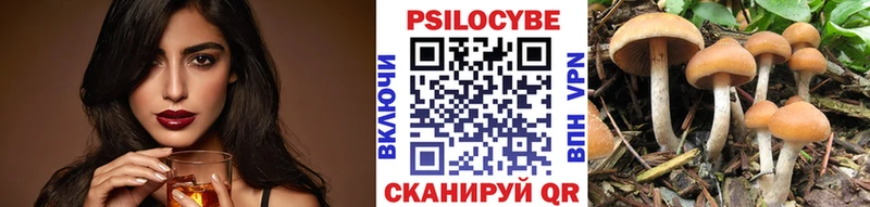 Галлюциногенные грибы GOLDEN TEACHER  купить закладку  Боготол 